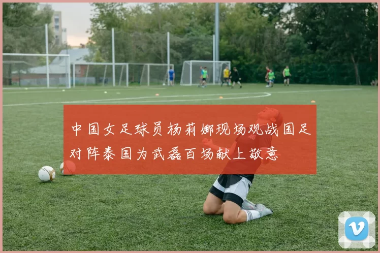 中国女足球员杨莉娜现场观战国足对阵泰国为武磊百场献上敬意